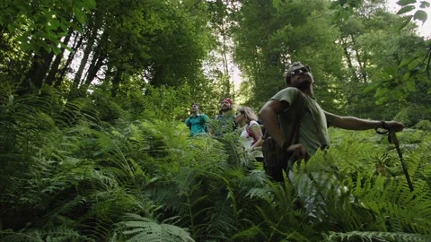 Group of nature Ornitholog scientists push their way through a densely overgrown Stock Footage 208884028