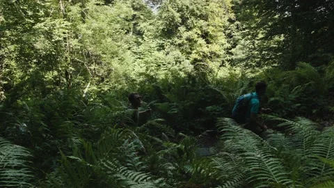 Group of nature Ornitholog scientists push their way through a densely overgrown Stock Footage 208885668
