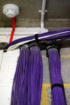 Group of network cable in a trunk Stock Photos