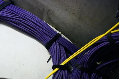 Group of network cable in a trunk 库存照片