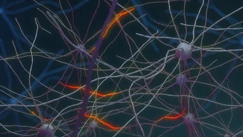 Group of Neuron Microbes Glow Orange Red Stock Footage 84744742