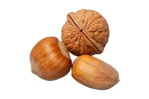 Group of nuts on a white background 스톡 사진