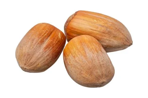Group of nuts on a white background 스톡 사진