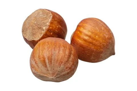 Group of nuts on a white background 스톡 사진