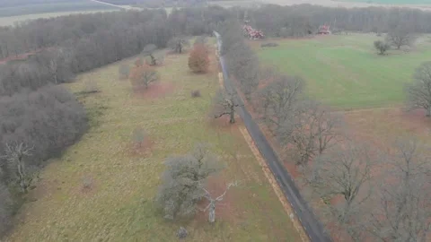 Group of Oak Trees With No Leaves and Gravel Road, Rising Aerial Stock Footage 144843742