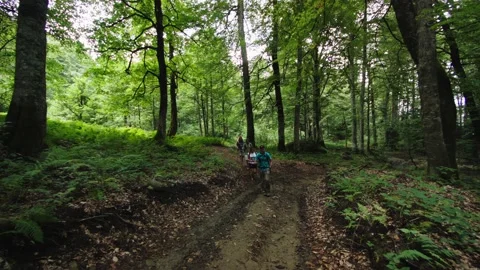 Group of office colleagues went to mountain forest for weekend to maintain Stock Footage 208887477