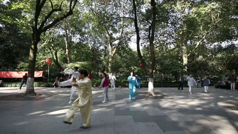Group of old people practicing Tai Chi Video stock 122094397