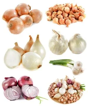 Group of onions Stock Photos