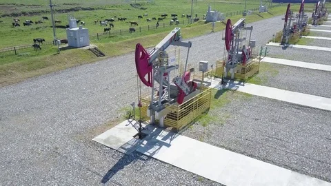 Group of operating oil pumps Stock Footage 76617776
