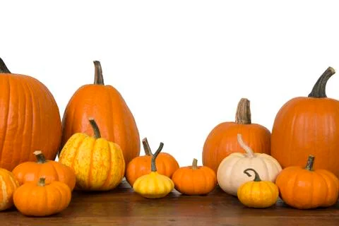 Group of orange pumpkins on a white background with copy space Stock Photos