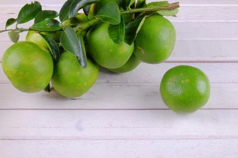 Group  of  orange on white table Stock Photos