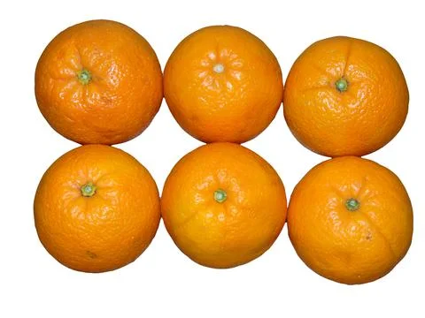 Group of oranges isolated on white background Photos