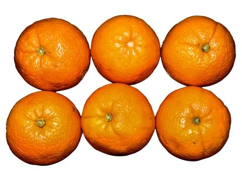 Group of oranges isolated on white background 스톡 사진