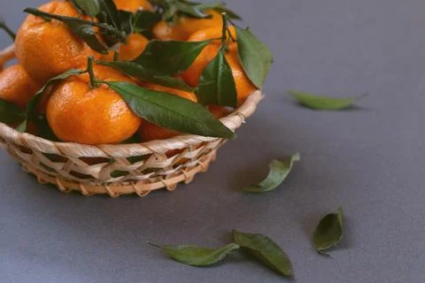 Group of oranges Stock Photos