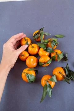 Group of oranges Stock Photos