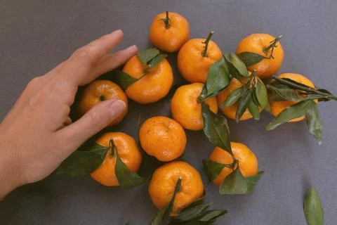 Group of oranges Stock Photos