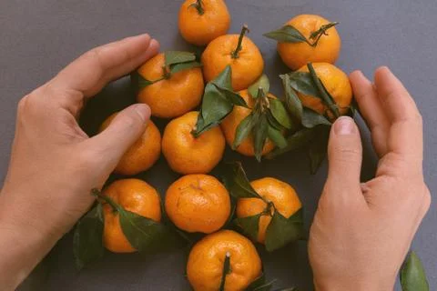 Group of oranges Stock Photos