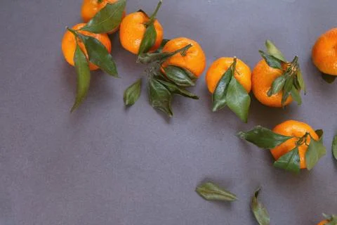 Group of oranges Stock Photos