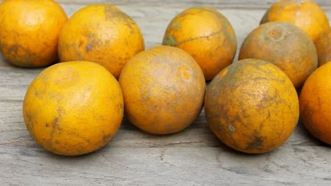 Group oranges on wood background Stock Footage 227072590