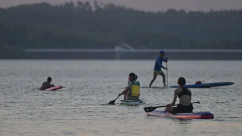 Group Paddleboarding Activity on Reservoir Stock-Footage 345039943
