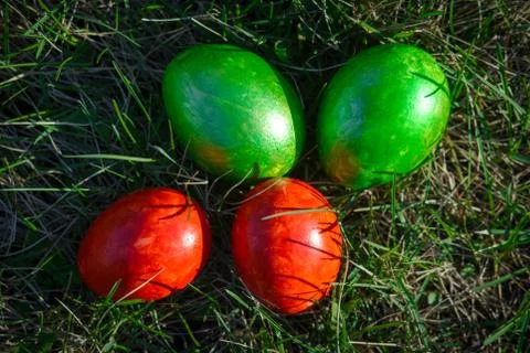 Group of painted easter eggs on the bright spring grass. Easter hunt. Closeup Stock Photos