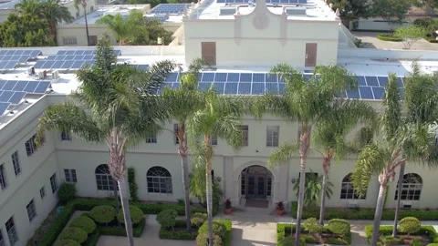 A group of palm trees with a building in the background Stock Footage 155466535