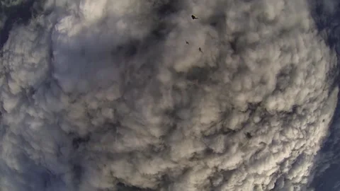 A group of parachutists fall into the clouds at sunset Stock Footage 202120403