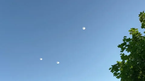 A group of parachutists floating in the sky as seen from below. Stock Footage 201601516