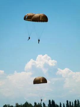 Group of parachutists 스톡 사진