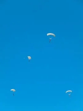 Group of parachutists 스톡 사진