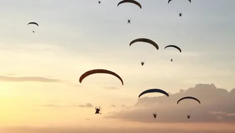 Group of paramotor fly in sunset Stock Footage 10870899
