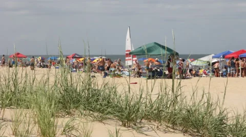 Group Party On The Beach 動画素材 37726835