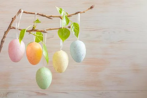 Group of pastel color Easter eggs on branch of tree on vintage wood backgroun Stock Photos