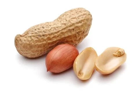 Group of peanuts isolated on white Stock Photos