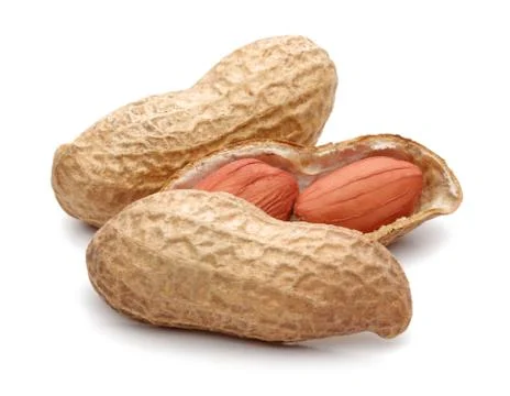 Group of peanuts isolated on white Stock Photos