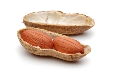 Group of peanuts isolated on white Stock Photos