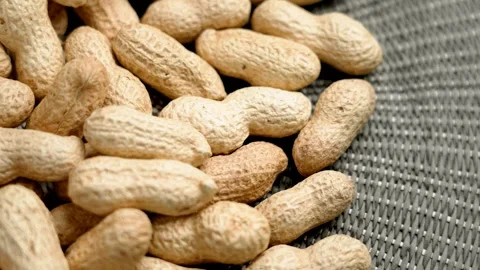 Group of peanuts with textured nutshell Stock Footage 287599793