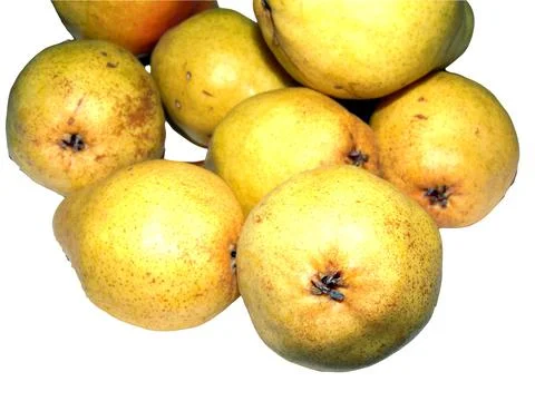Group of pears isolated on white background 写真素材