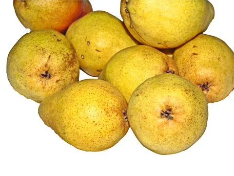Group of pears isolated on white background Фото