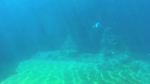 Group of penguins floating underwater Stock Footage 93931337