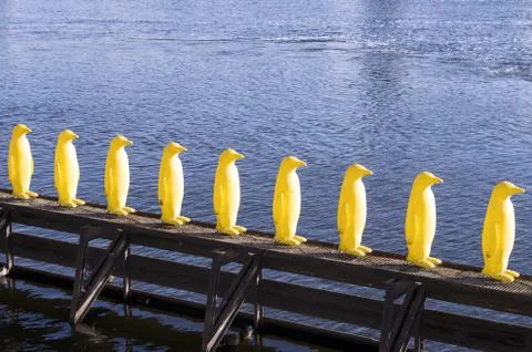 Group of penguins Stock Photos