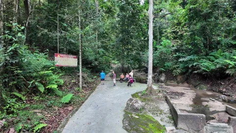 A group of people are walking on a path in a forest Видео 318089801