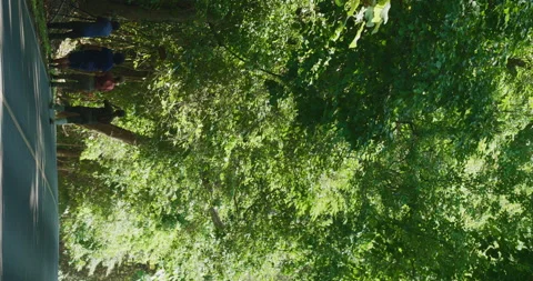 Group of people bird watching with tele camera in tropical forest Stock Footage 334049587