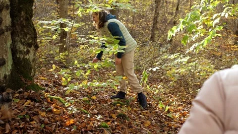 A group of people with children are picking mushrooms in the autumn forest. Stock Footage 295194909