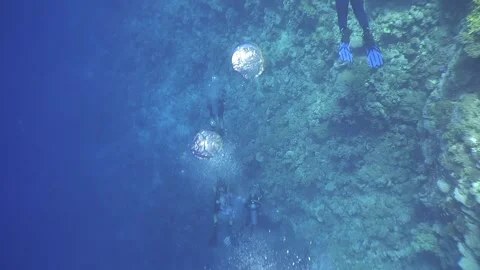 Group of people diving in ocean Stock Footage 276217218