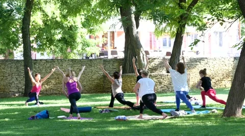 Group of people do morning yoga exercise in a green park Stock Footage