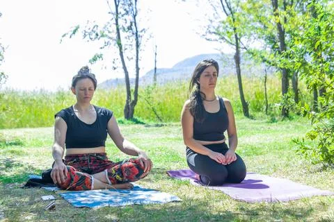 Group of people doing yoga exercise in the park Stockfoto's