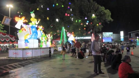 Group of people enjoy the night Stock Footage 295030177