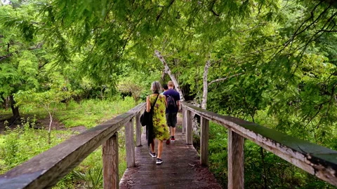 Group of people exploring forest to search komodo in komodo island, Indonesia Stock-Footage 248141709