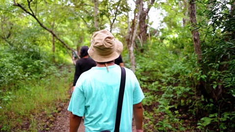 Group of people exploring forest to search komodo in komodo island, Indonesia Stock Footage 248142441